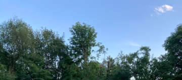cd98841d-d7fe-4488-8d93-ca8547d9020e